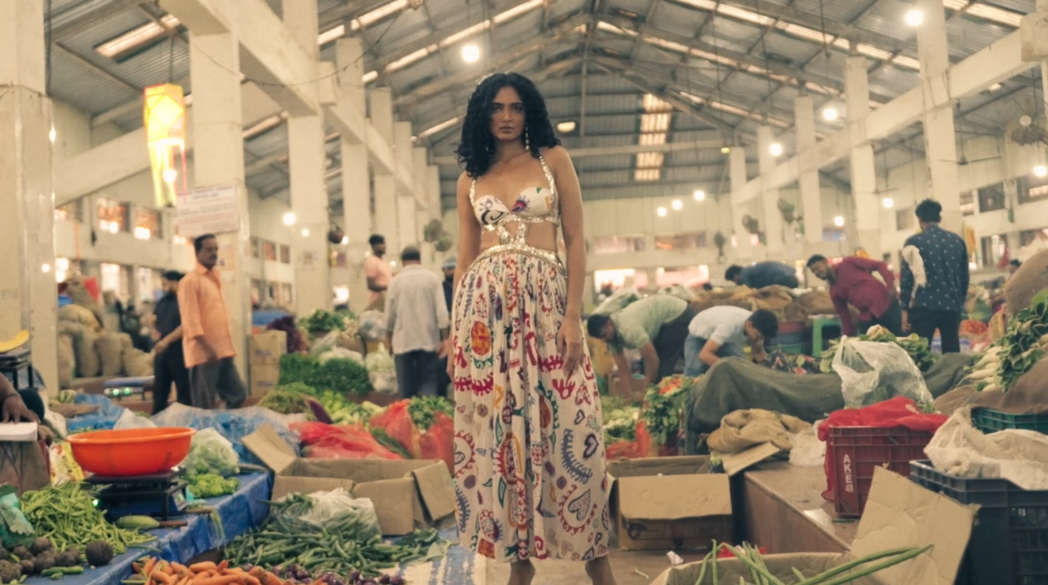 ANI - Namaste India Collection — brand film for ANI